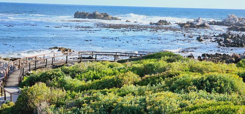 Commercial Property for Sale in Kleinmond Western Cape